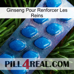 Ginseng For Reinforcing Kidney viagra1